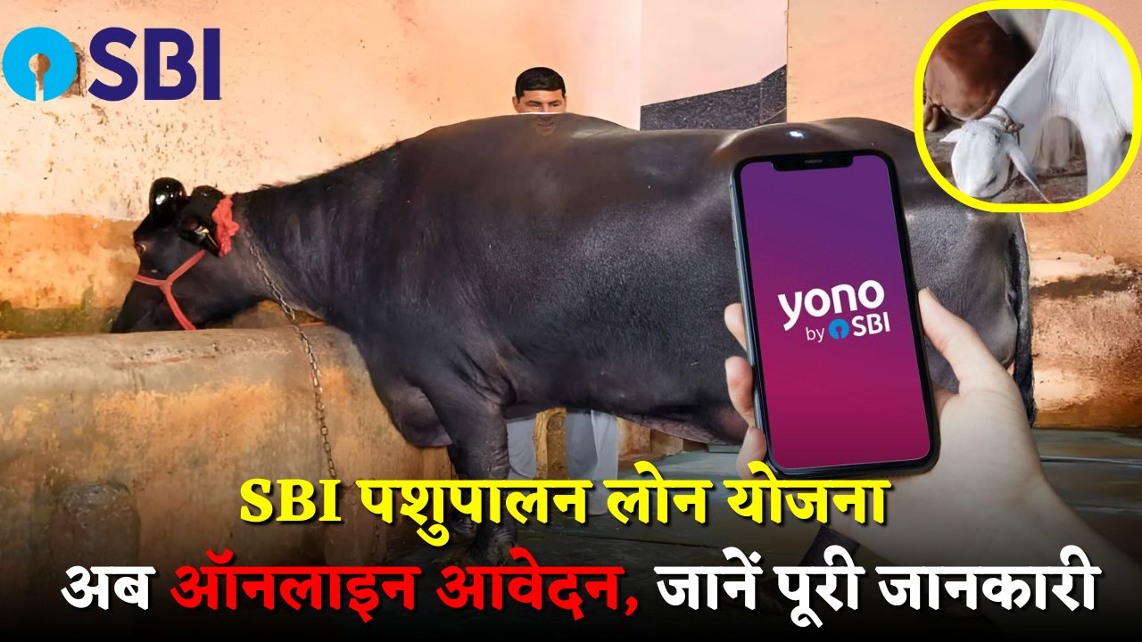 SBI Pashupalan Loan Yojana 2025
